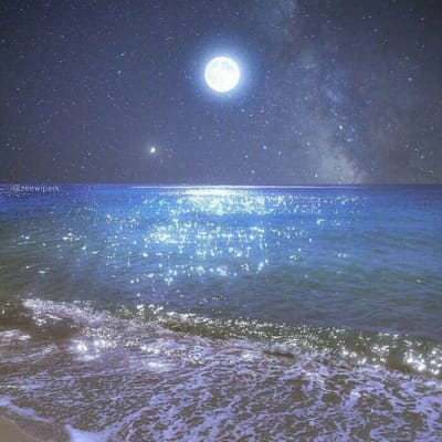 Alex Gonzaga's avatar
